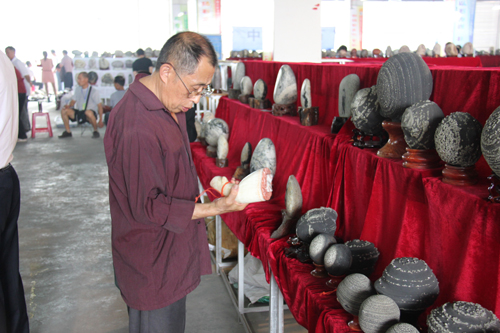 中国首届金沙江奇石艺术博览会展品令人叹为观止
