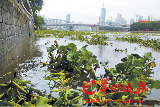 龙舟水已掠走广东逾7亿元 31.28万人受灾