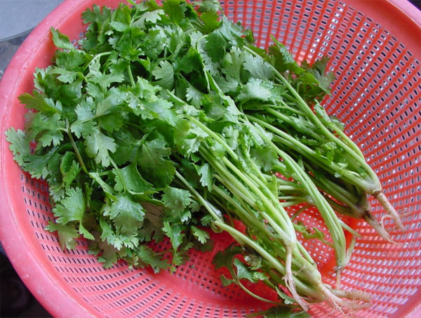 细数8种最有益的“难吃”食物