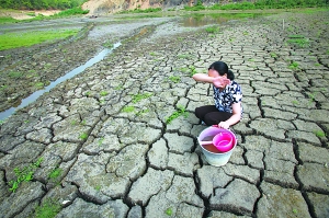 我们的地球正在变暗?