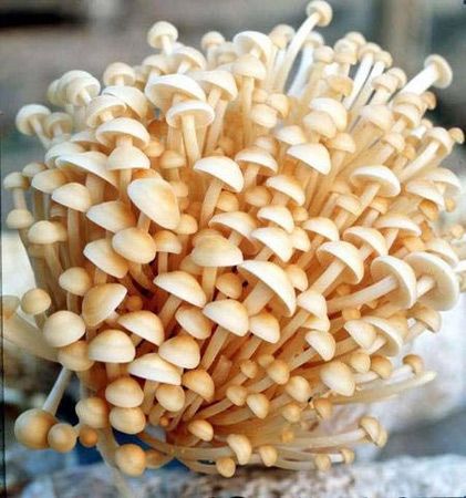 女性养生：胸部爱“吃”哪些食物？
