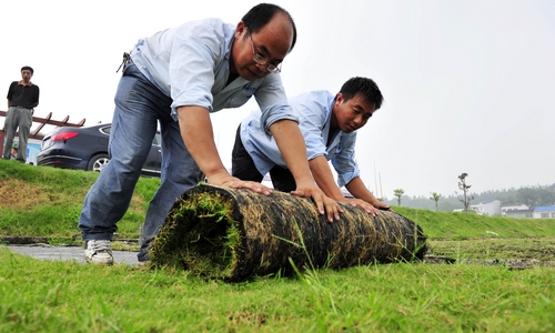探访湘江边最美村镇首站:“莲花”美梦