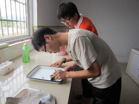 战高温，华农硕博团下乡实践