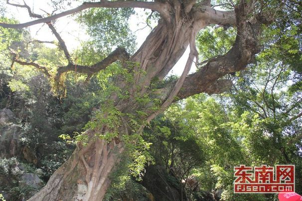 组图:东南网博友采风团游清源山 赏美景听传说