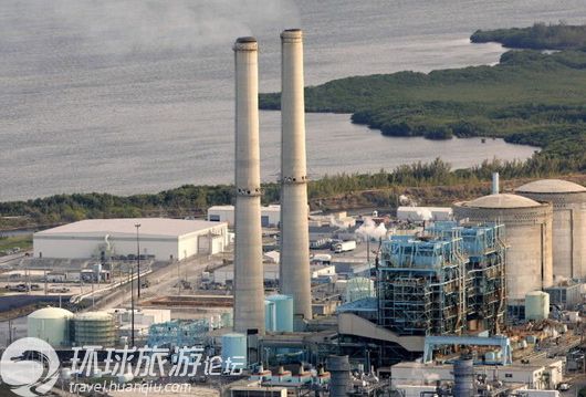 揭美国核电站鳄鱼成群之谜