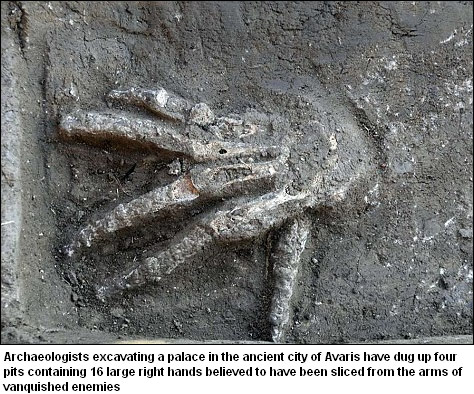 埃及宫殿出土16只右手骨骸 证实