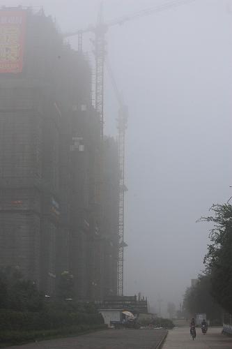 晨雾弥漫