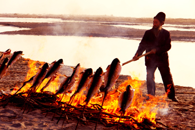 塔河两岸景如画 瀚海胡杨醉游人