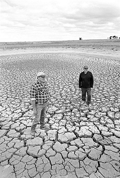 资料图片:厄尔尼诺现象曾造成澳大利亚干旱