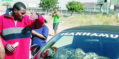 车主将哈士奇放车内防盗 车窗被砸狗仍呼呼大睡