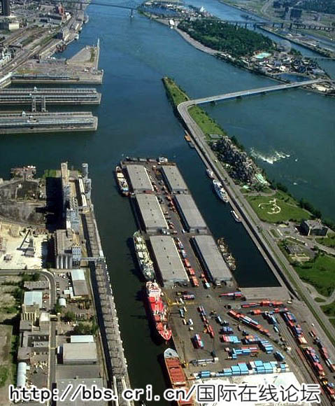 中国大闸蟹入侵德国水域致损失达8千万欧元