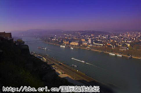 中国大闸蟹入侵德国水域致损失达8千万欧元