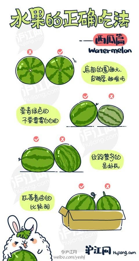 萌漫画图解