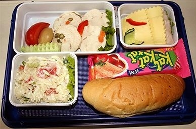 飞机餐也美味 实拍各国航空公司美味飞机餐
