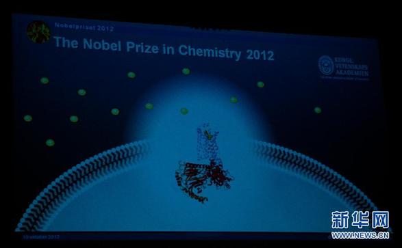 两位美国科学家分享2012年诺贝尔化学奖