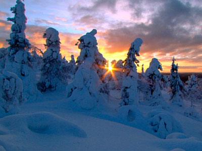 《野性俄罗斯》:野性呼唤下的生命奇迹