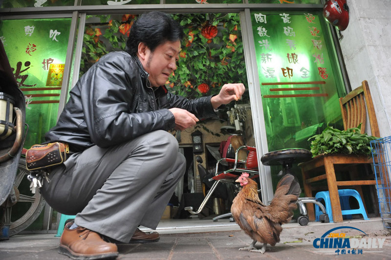 重庆现世界最小鸡蛋 重量仅为2.6克