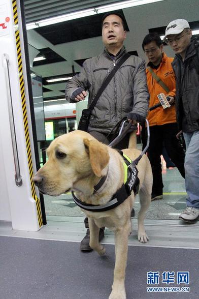 杭州导盲犬首次带领主人乘地铁