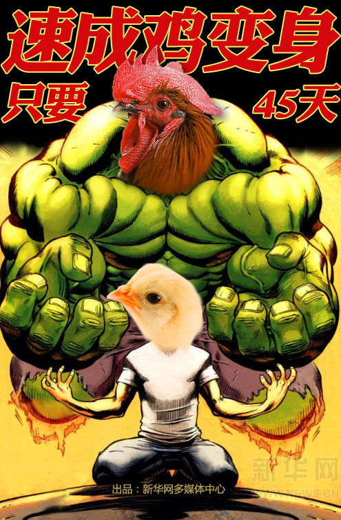 新华漫画:如何分辨土鸡VS速成鸡