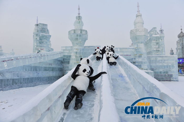 哈尔滨冰雪大世界 “大熊猫”憨态可掬