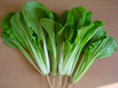 养生：大蒜抗癌苹果改善心血管 8大长寿食物（图）