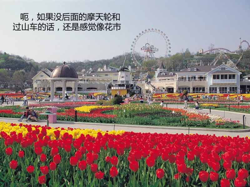 你不知道的三星 三星的另一面