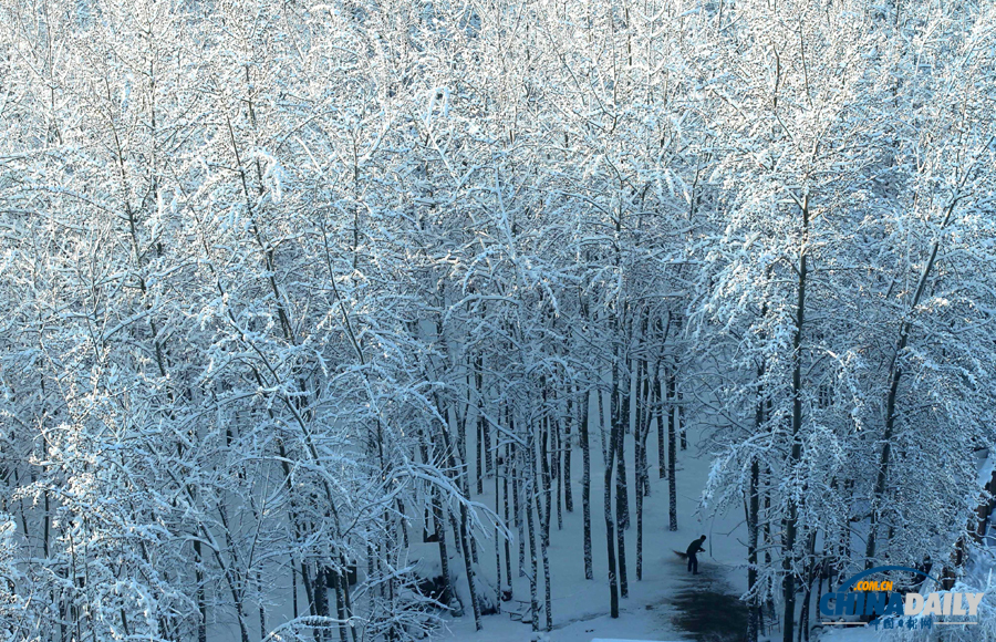 中国日报直击北京三月春雪