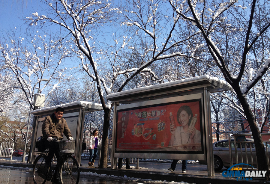 中国日报直击北京三月春雪