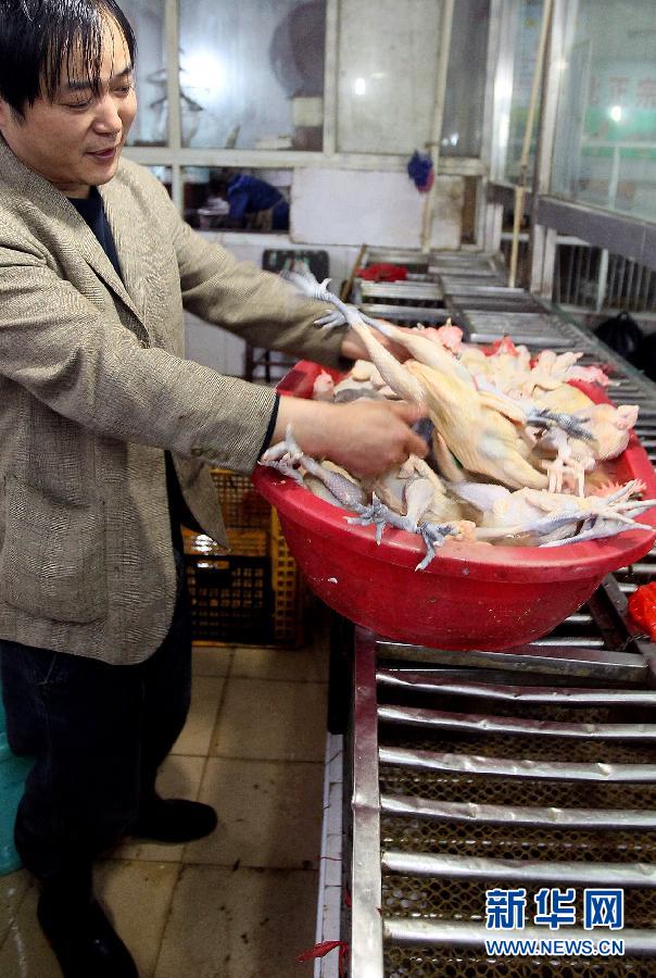 上海6日起暂停活禽交易 关闭所有活禽交易市场