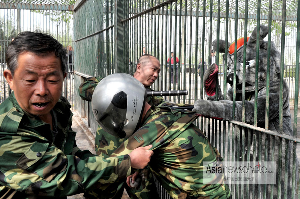 中国日报一周图片精选：4月15日—4月19日