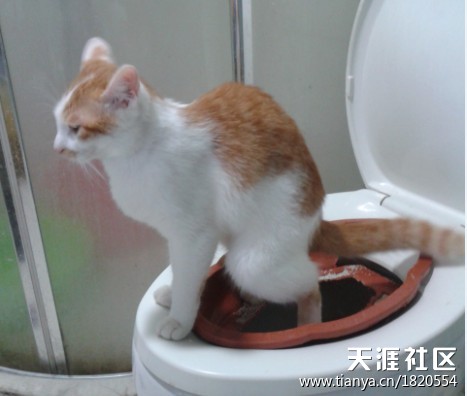 让你笑不停的最新“囧”图