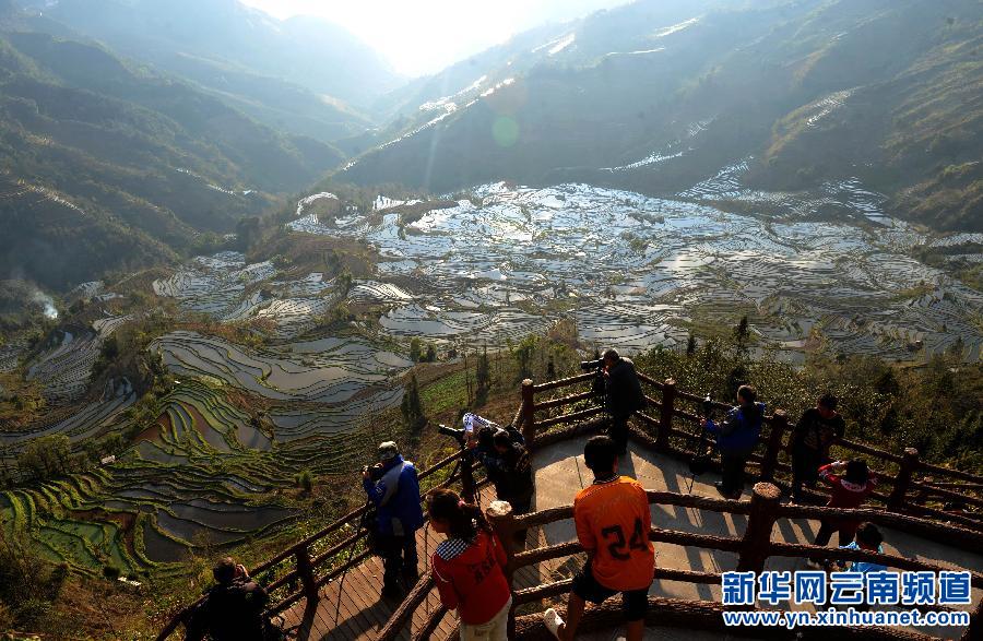 中国哈尼梯田成功列入世界遗产名录