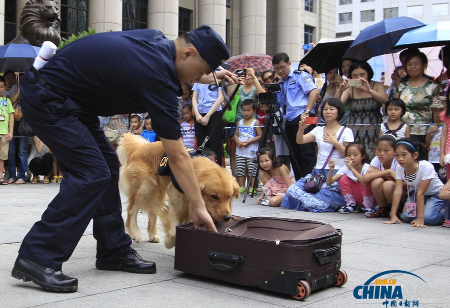国际禁毒日前夕：与明星缉毒犬亲密接触