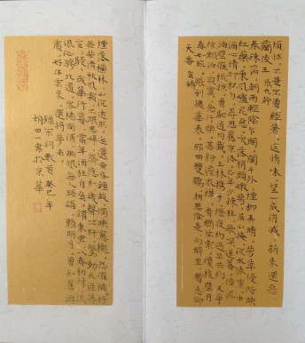 北京人文大学出了个天才书法家：胡中一