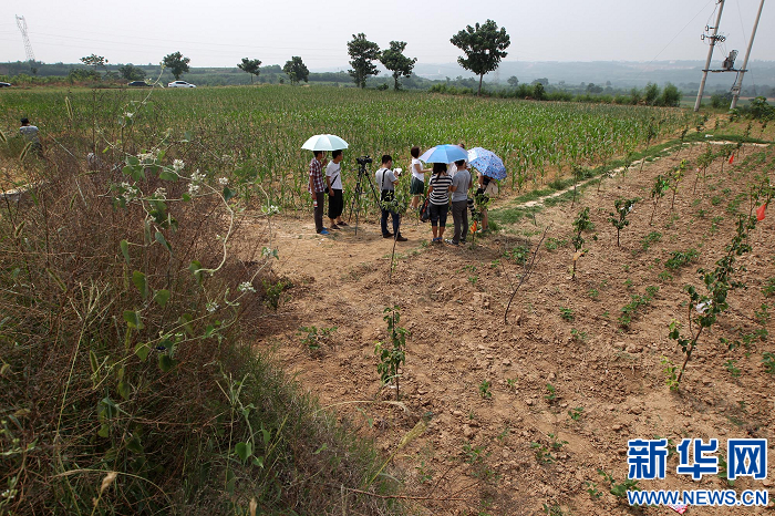 洛阳孟津疑似李煜墓引关注 专家称证据不足无法确认