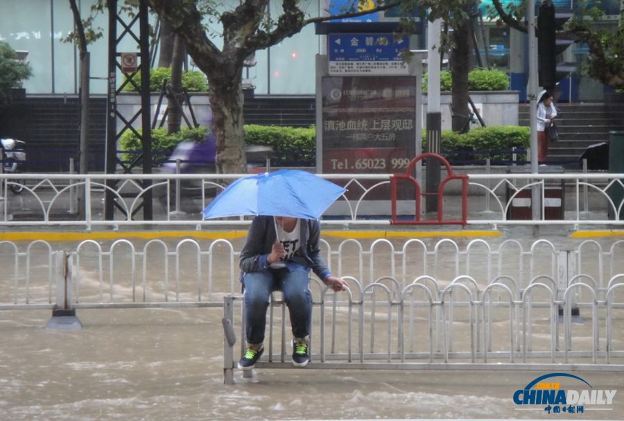 昆明一雨成泽