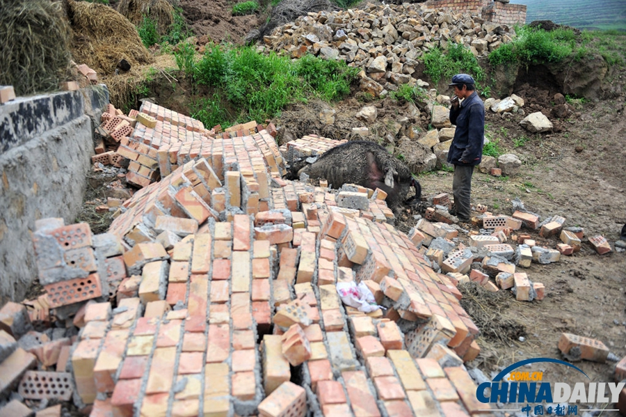 震区表情：甘肃定西6.6级地震灾后见闻