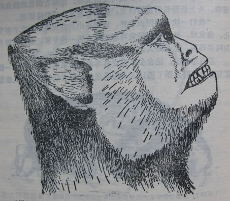 中国最大野人藏身昆仑山盘点世界各地野人传说