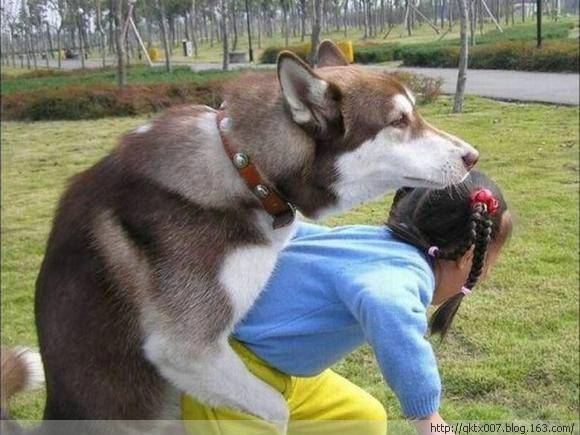 美女遭猴子扒衣服非礼