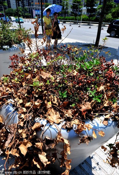 城市表情：高温下的形色生活