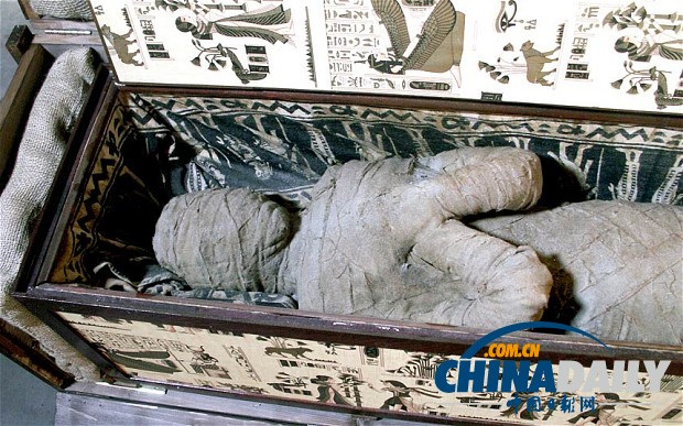 德国小男孩在祖母家阁楼里发现“埃及木乃伊” - 中国在线