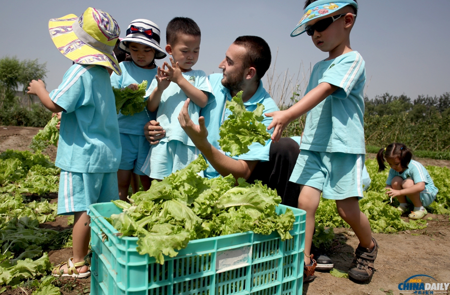 北京：幼儿园小朋友体验种植蔬菜