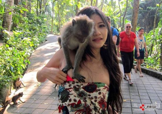 实拍动物\性侵\美女瞬间(组图)