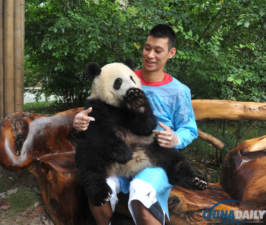 NBA球星林书豪参观成都熊猫基地