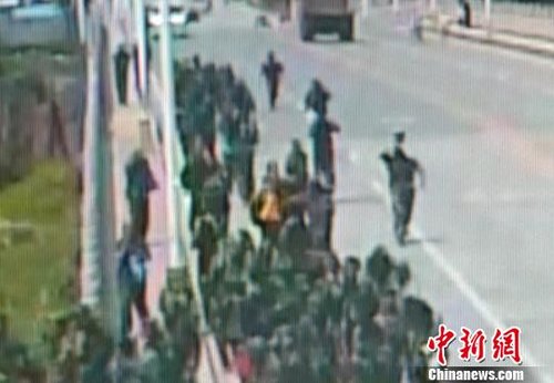 广西一中学师生军训返校遭马蜂袭击 57人被蜇伤