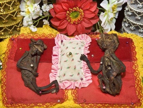 台铁中年情侣上演活春宫 竟怪警察管太多(图)