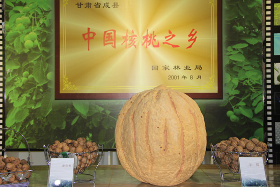 甘肃陇南成县利用网络新媒体推介做强核桃产业 促进农民增收