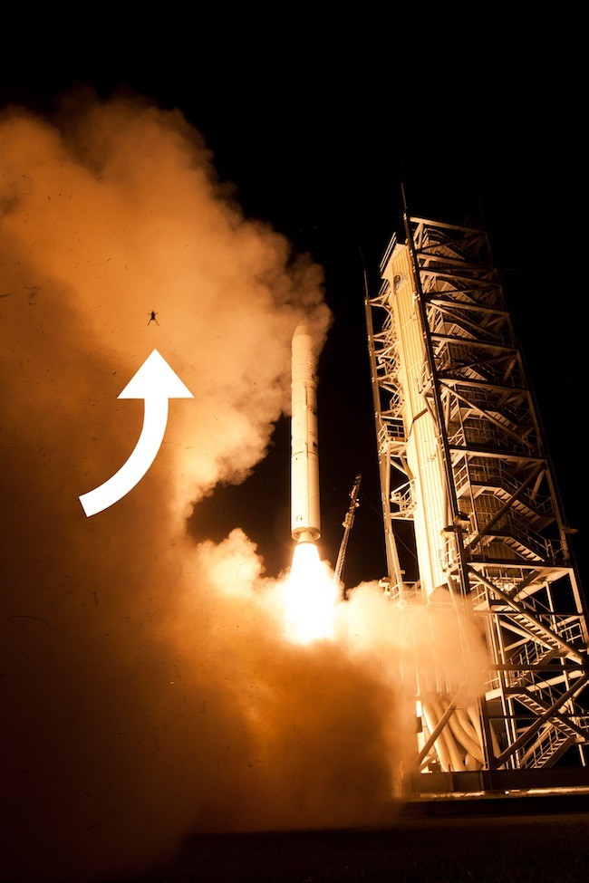 美国火箭发射青蛙被气浪吹上天