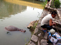 天兔来袭将老鼠卷入空中 网友调侃:放开那只