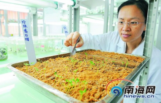 琼海搭载神十